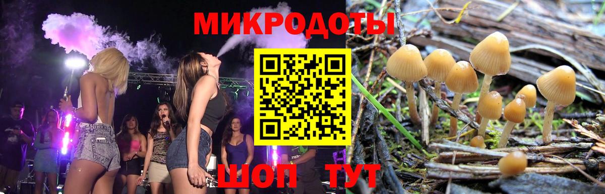закладки  Вход с VPN  Ульяновск  Галлюциногенные грибы GOLDEN TEACHER 